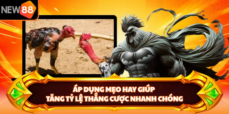 Áp dụng mẹo hay giúp tăng tỷ lệ thắng cược nhanh chóng