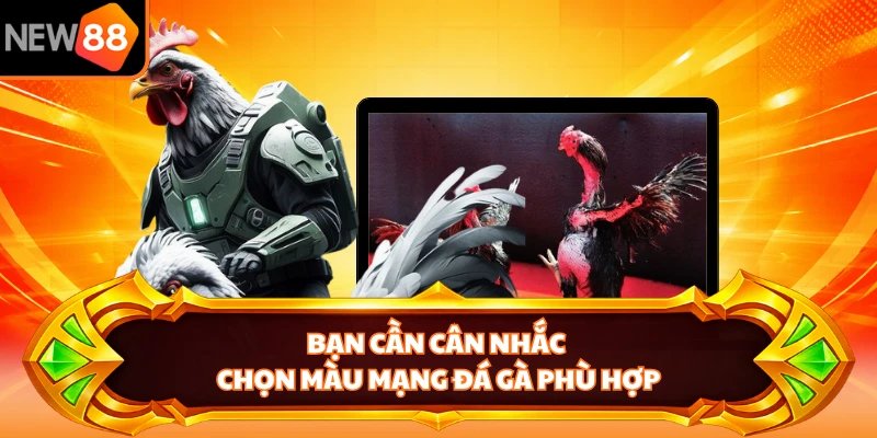 Bạn cần cân nhắc chọn màu mạng đá gà phù hợp