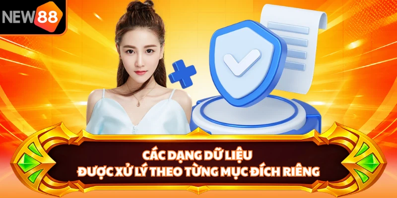 Các dạng dữ liệu được xử lý theo từng mục đích riêng