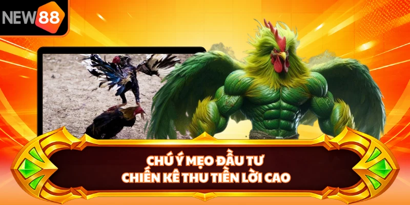 Chú ý mẹo đầu tư chiến kê thu tiền lời cao