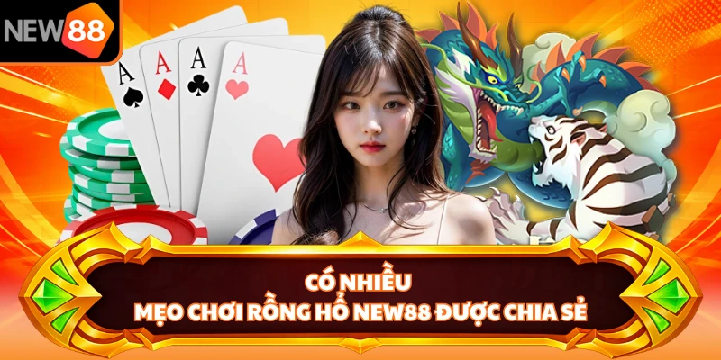 Có nhiều mẹo chơi Rồng Hổ NEW88 được chia sẻ
