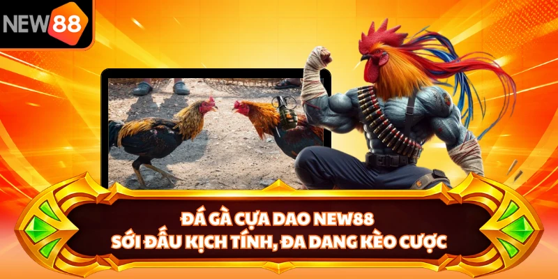 Đá Gà Cựa Dao NEW88 - Sới Đấu Kịch Tính, Đa Dang Kèo Cược