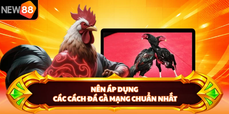 Nên áp dụng các cách đá gà mạng chuẩn nhất