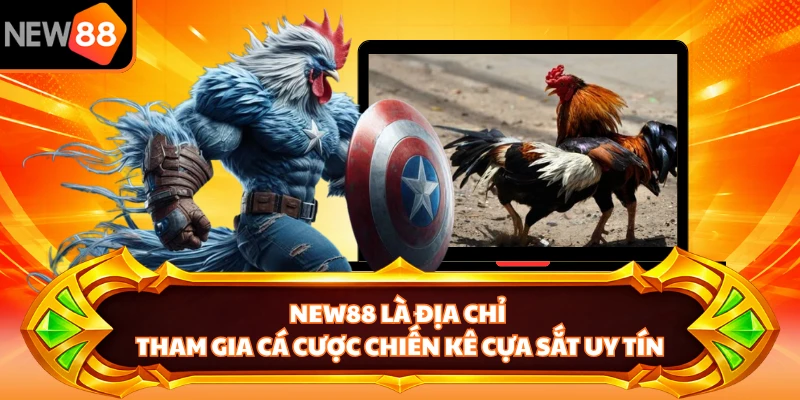 NEW88 là địa chỉ tham gia cá cược chiến kê cựa sắt uy tín
