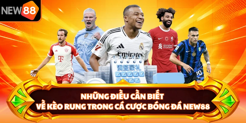Những điều cần biết về kèo rung trong cá cược bóng đá NEW88