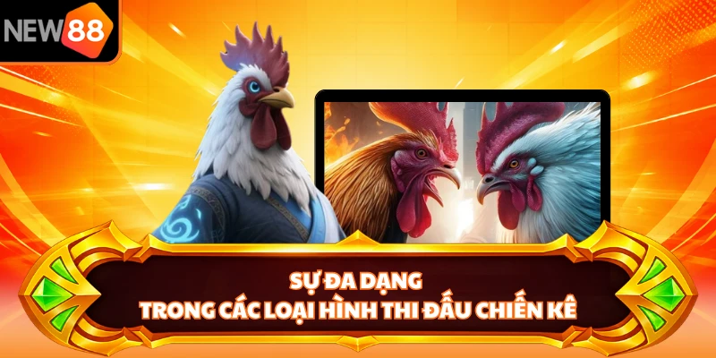 Sự đa dạng trong các loại hình thi đấu chiến kê