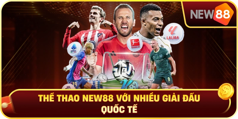 Thể Thao NEW88 Với Nhiều Giải Đấu Quốc Tế