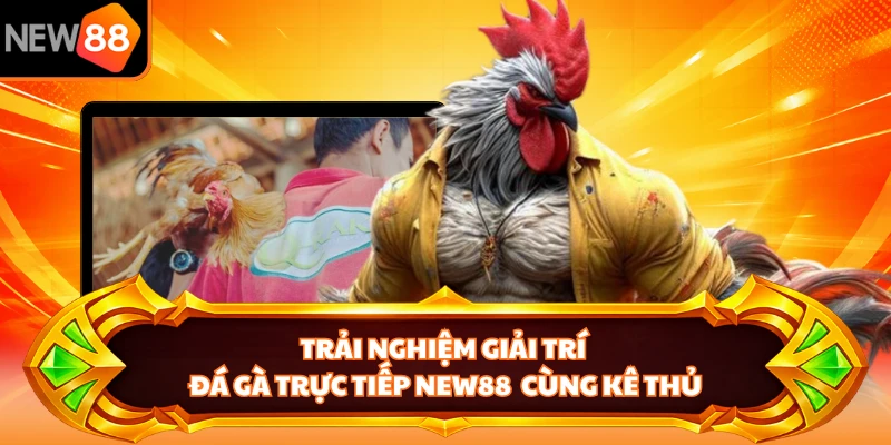 Trải nghiệm giải trí đá gà trực tiếp NEW88  cùng kê thủ